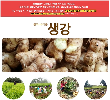 완주 봉동 생강 (토종) 1kg