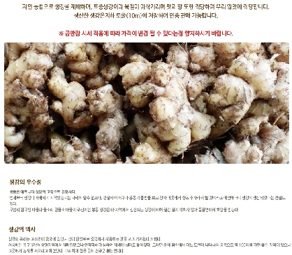 완주 봉동 생강 (토종) 1kg