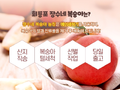 회룡포 장수네복숭아 백도