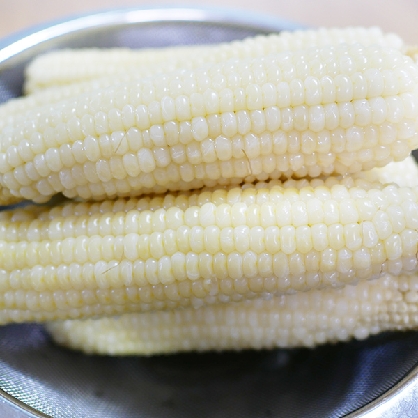 미백 찰옥수수 존득한 식감 구수한 당도 옥수수 강냉이