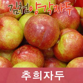 김천 가을자두(추희)특/3kg