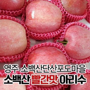 (2024년 햇사과)소백산 빨간맛 아리수 꼬꼬마