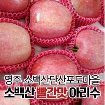 (2024년 햇사과)소백산 빨간맛 아리수