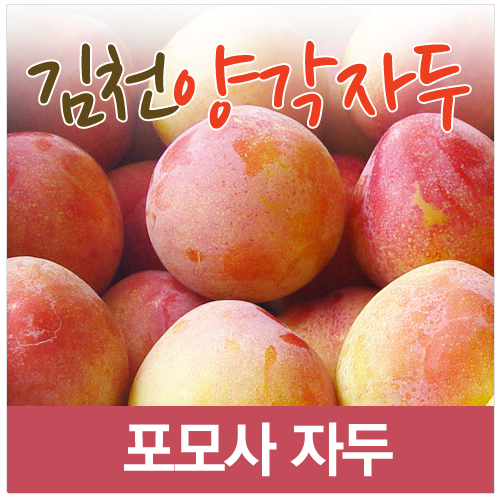 김천 포모사 자두(특) 3kg